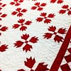 Red & White Bear Paw FINISHED QUILT - Great Border- Bold Graphics - Image 4