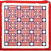 Patriotic Young Man's Fancy FINISHED QUILT This beautiful quilt will be Loved - Image 3