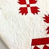 Red & White Bear Paw FINISHED QUILT - Great Border- Bold Graphics - Image 6