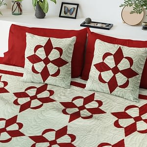 Hand Applique Red and White Compass styled FINISHED QUILT