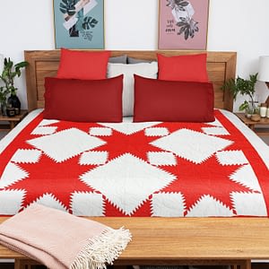 Red & White Feathered Edge Star- Bold Graphic look FINISHED QUILT