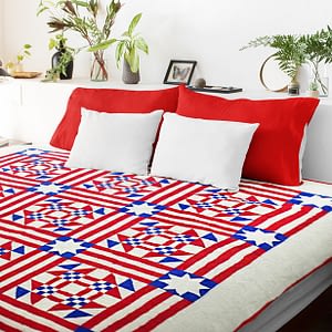 Patriotic Young Man’s Fancy FINISHED QUILT This beautiful quilt will be Loved