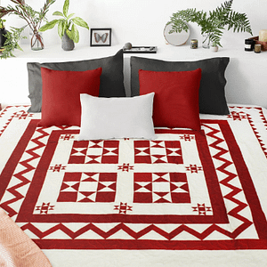 Red & White Star Medallion FINISHED QUILT – Incredible Borders – Queen size