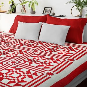 Red & White Young Man’s Fancy FINISHED QUILT Graphic Beauty