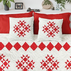 Red & White Ohio Star var. FINISHED QUILT – Graphic Borders