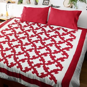 Patchwork Turkey Red Drunkards Path FINISHED QUILT – Queen Size