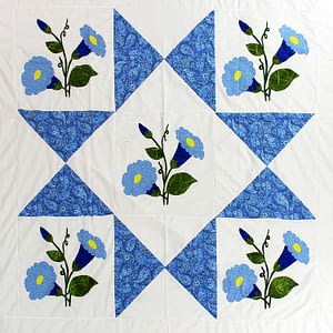 Large Hand Applique Morning Glory Star design QUILT TOP – Queen size masterpiece