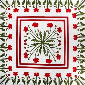 Unique Hand Applique Red Poppy Field Medallion QUILT TOP – Poppy Borders