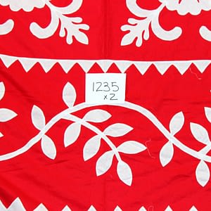 Red & White Applique Sand Dollar QUILT TOP – Incredible borders – King Size