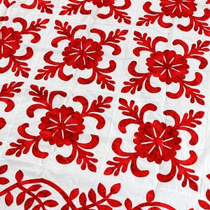 Red & White Hand Applique Sand Dollar QUILT TOP – Incredible vine border finish