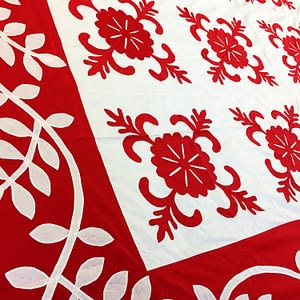 Red & White Hand Applique Sand Dollar QUILT TOP – Incredible vine border finish