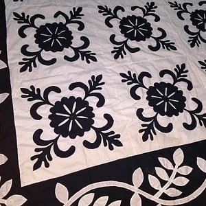 Black & White Hand Applique Sand Dollar QUILT TOP Incredible border